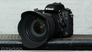 Field Notes: The Nikon D750 Is a Delightful Full-Frame Video DSLR